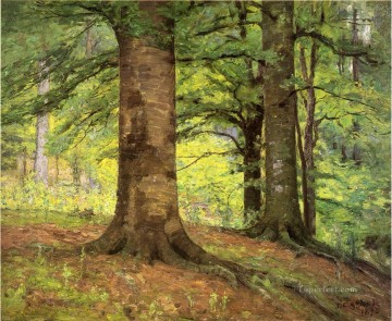 ウッズ Painting - ブナの木 印象派 インディアナ州の風景 セオドア・クレメント・スティールの森